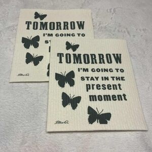 Blue Q Tomorrow I'm Going to Stay in the Present Swedish Dish Clothes NWOT